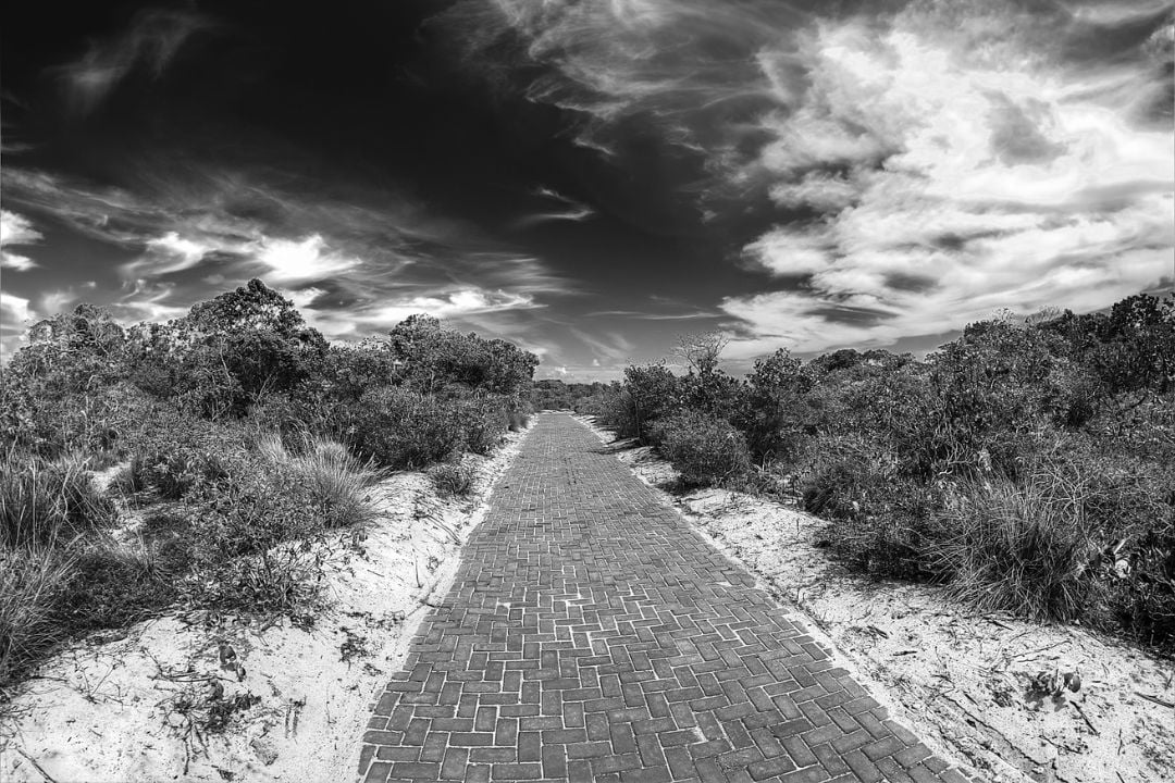 Detalhes sutis pintam as histórias de um cenário mágico, convidando-nos a explorar narrativas silenciosas e belas - Fotografia de Paisagem