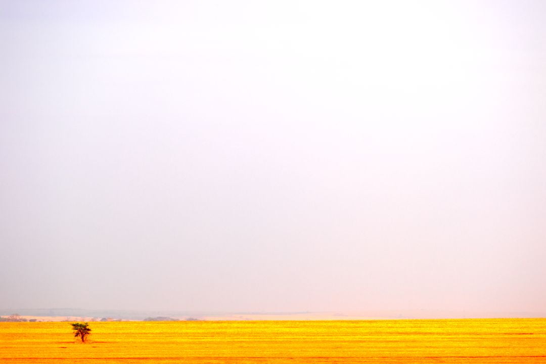 Efêmeros momentos se transformam em lembranças eternas, transmitindo emoções fugazes capturadas em um clique - Fotografia de Paisagem