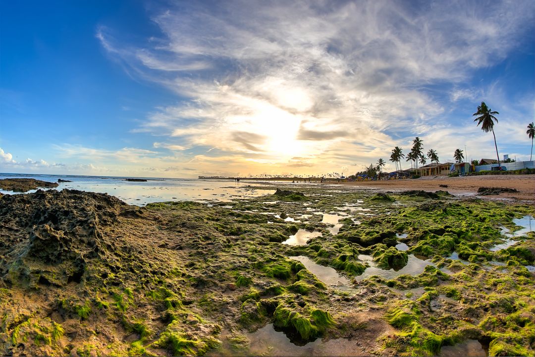 A interação entre luz e sombra revela a mágica da natureza, capturando a intensidade das emoções em cada cena - Fotografia de Paisagem