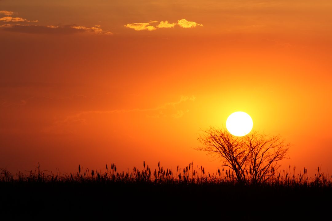 A harmonia dos elementos naturais se traduz em poesia visual, onde cores e formas se unem para contar histórias únicas - Fotografia de Paisagem