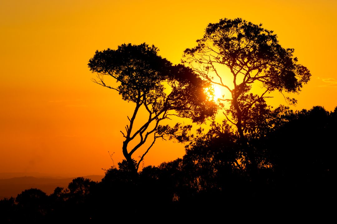 A essência da natureza se revela em tons e texturas, convidando-nos a mergulhar nas histórias contidas em cada detalhe - Fotografia de Paisagem
