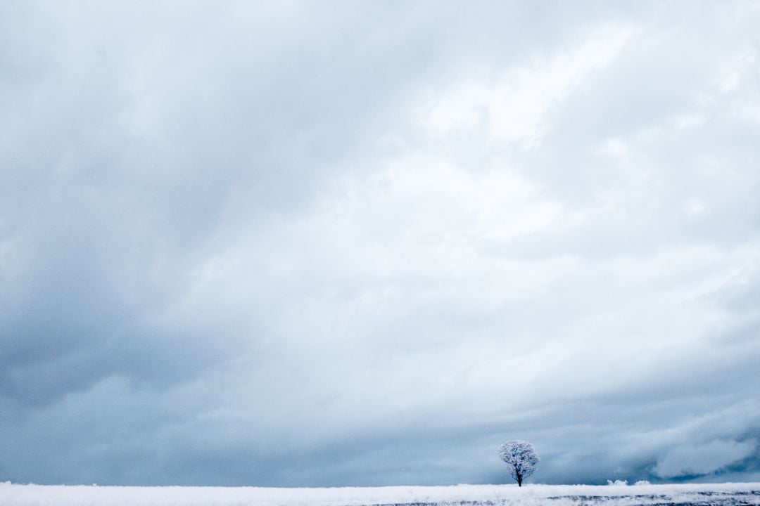 Memórias eternas capturadas em cliques fugazes, convidando a um olhar profundo na história visual da natureza - Fotografia de Paisagem