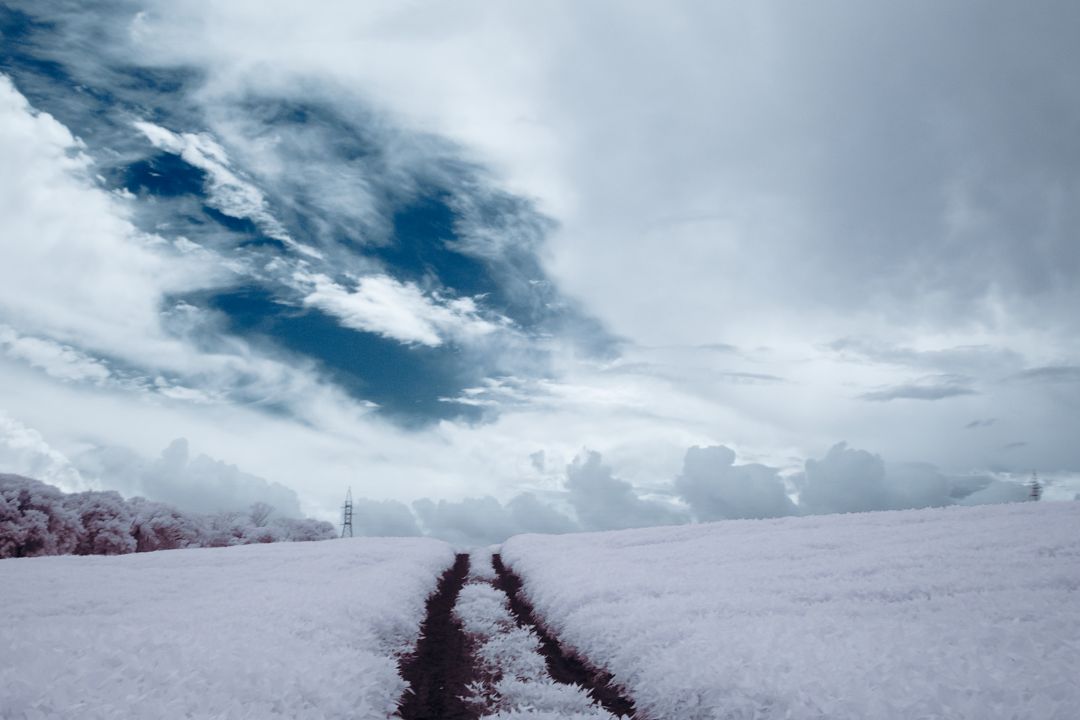 Cada detalhe importa, narrando histórias únicas em composições que se tornam janelas para mundos imaginários - Fotografia de Paisagem