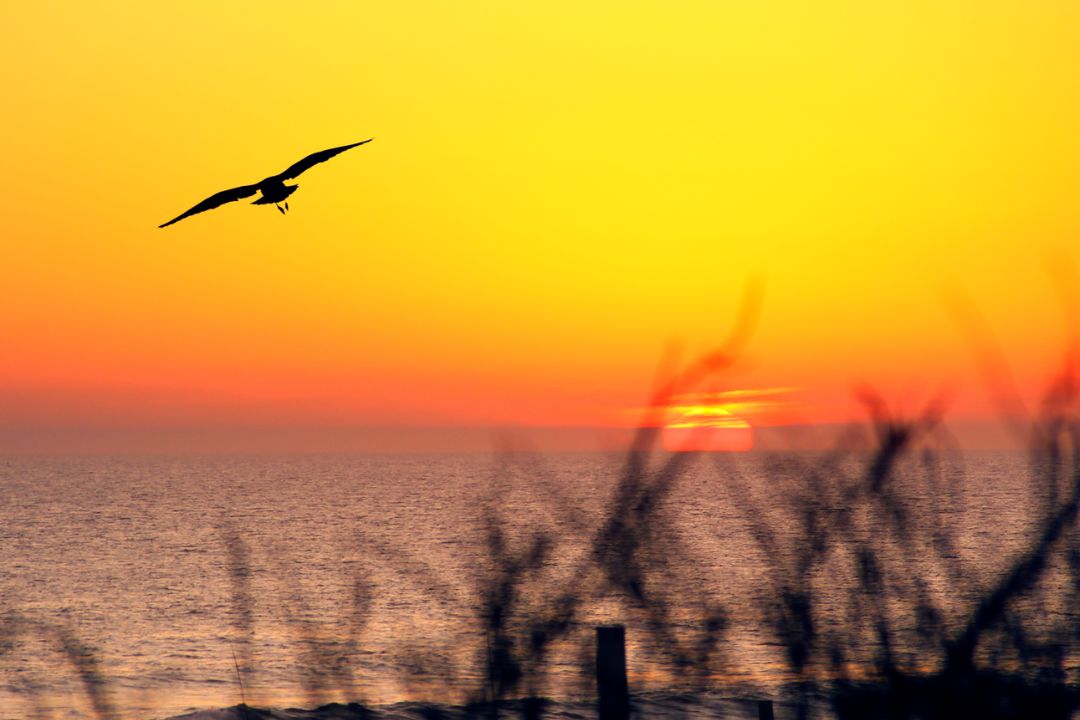 Fragmentos de terra ganham vida em imagens ricas, revelando histórias silenciosas que convidam à contemplação - Fotografia de Paisagem