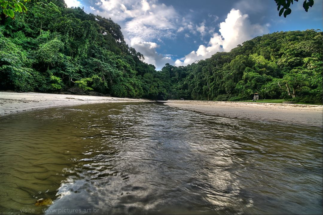 Emoções capturadas transformam-se em instantes eternos, ecoando em cada detalhe e matiz - Fotografia de Paisagem