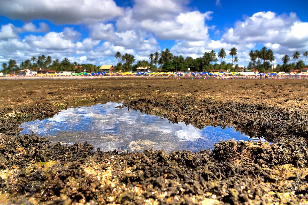 A dança da luz na natureza intocada cria instantes preciosos que ressoam através das imagens capturadas - Fotografia de Paisagem
