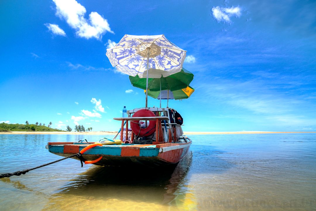 A natureza é capturada em instantes que se tornam eternos, transmitindo histórias silenciosas que ecoam para sempre - Fotografia de Paisagem