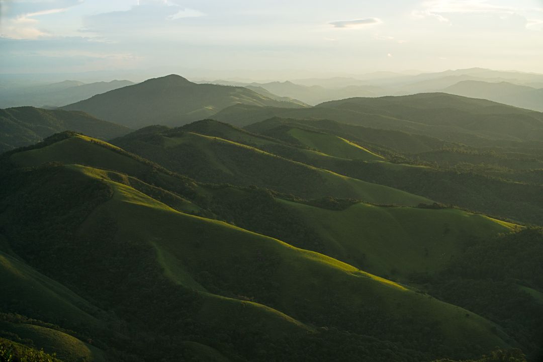 Detalhes sutis capturam essências profundas, revelando a beleza escondida em cada centímetro da paisagem - Fotografia de Paisagem
