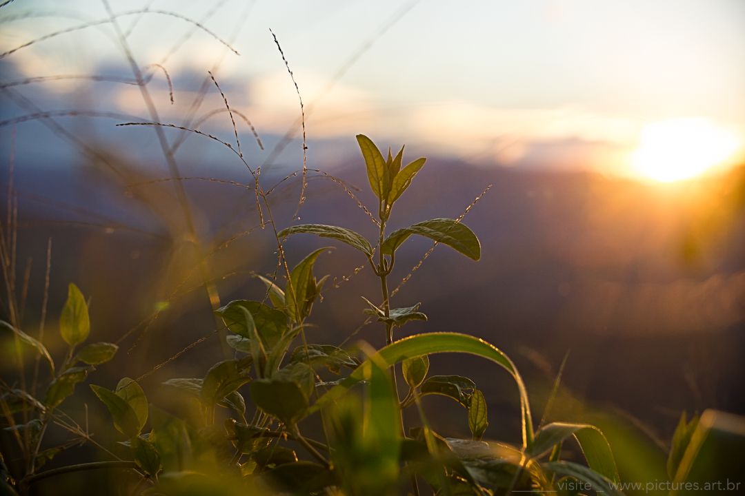 Memórias de silêncio ganham vida em paisagens eternas, transportando-nos para além das imagens através das emoções - Fotografia de Paisagem