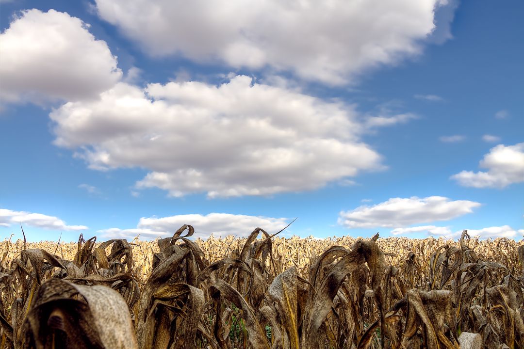 A captura de instantes eterniza histórias silenciosas, revelando a beleza que reside nos detalhes de cada cena - Fotografia de Paisagem