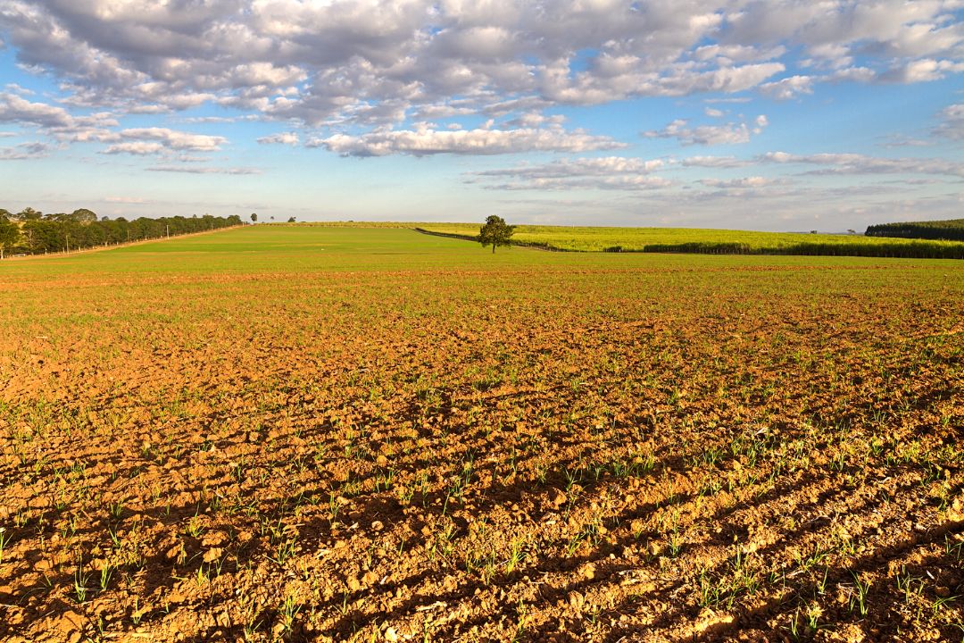 Efêmeros momentos se transformam em lembranças eternas, transmitindo emoções fugazes capturadas em um clique - Fotografia de Paisagem