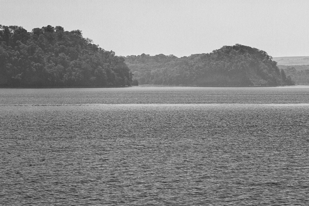 Drama de luz e sombra: a natureza viva se expressa, narrando histórias que ecoam através dos contrastes e texturas - Fotografia de Paisagem