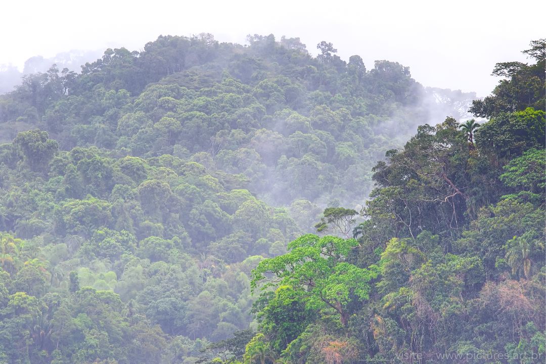 Fragmentos de terra ganham vida em imagens ricas, revelando histórias silenciosas que convidam à contemplação - Fotografia de Paisagem