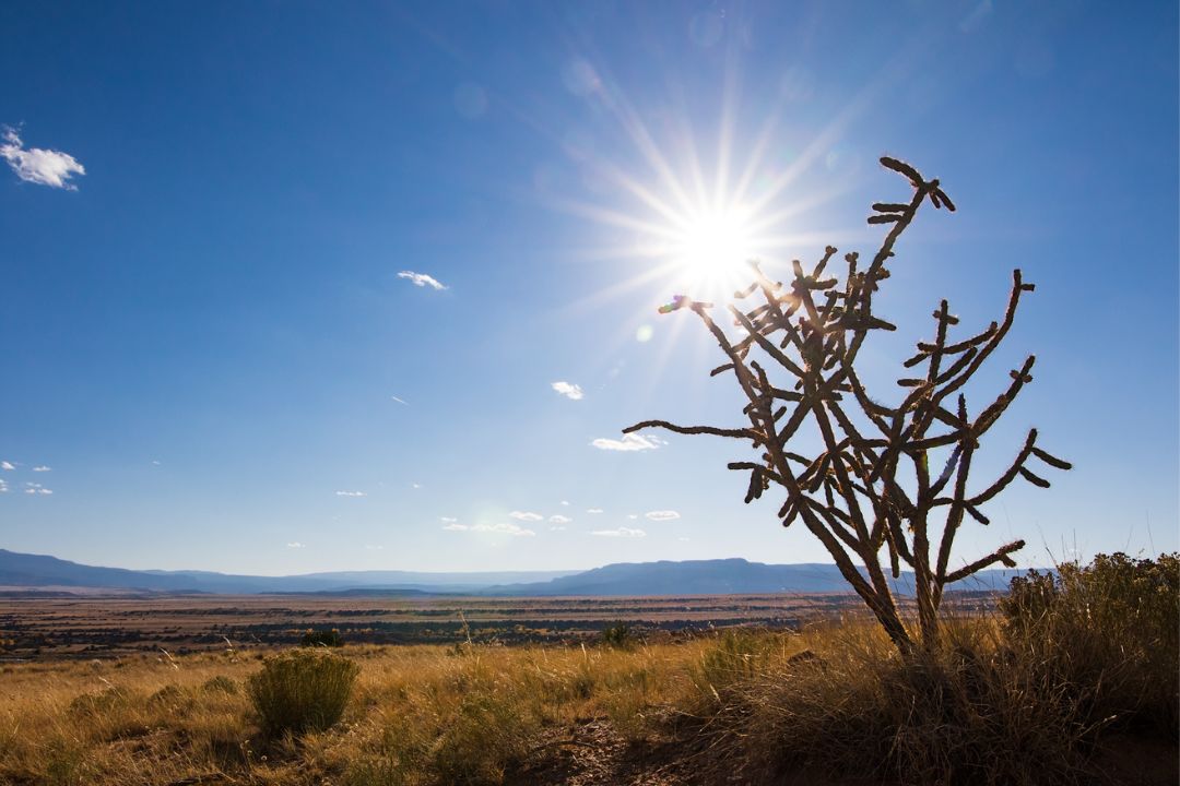 Pinceladas de luz transformando a natureza em poesia visual, revelando histórias cativantes em cada detalhe - Fotografia de Paisagem