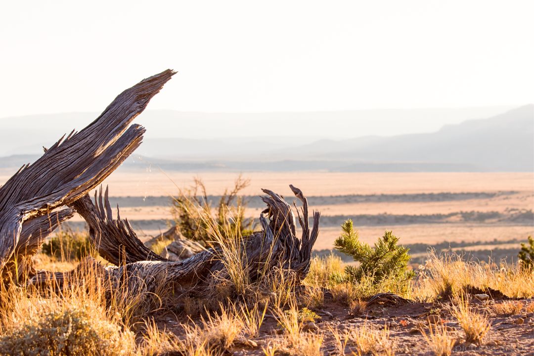 Horizontes convidam à contemplação profunda, revelando histórias que se desdobram entre céu e terra - Fotografia de Paisagem