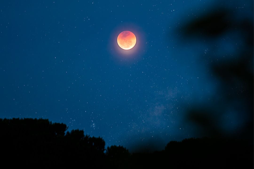 A natureza é capturada em instantes que se tornam eternos, transmitindo histórias silenciosas que ecoam para sempre - Fotografia de Paisagem
