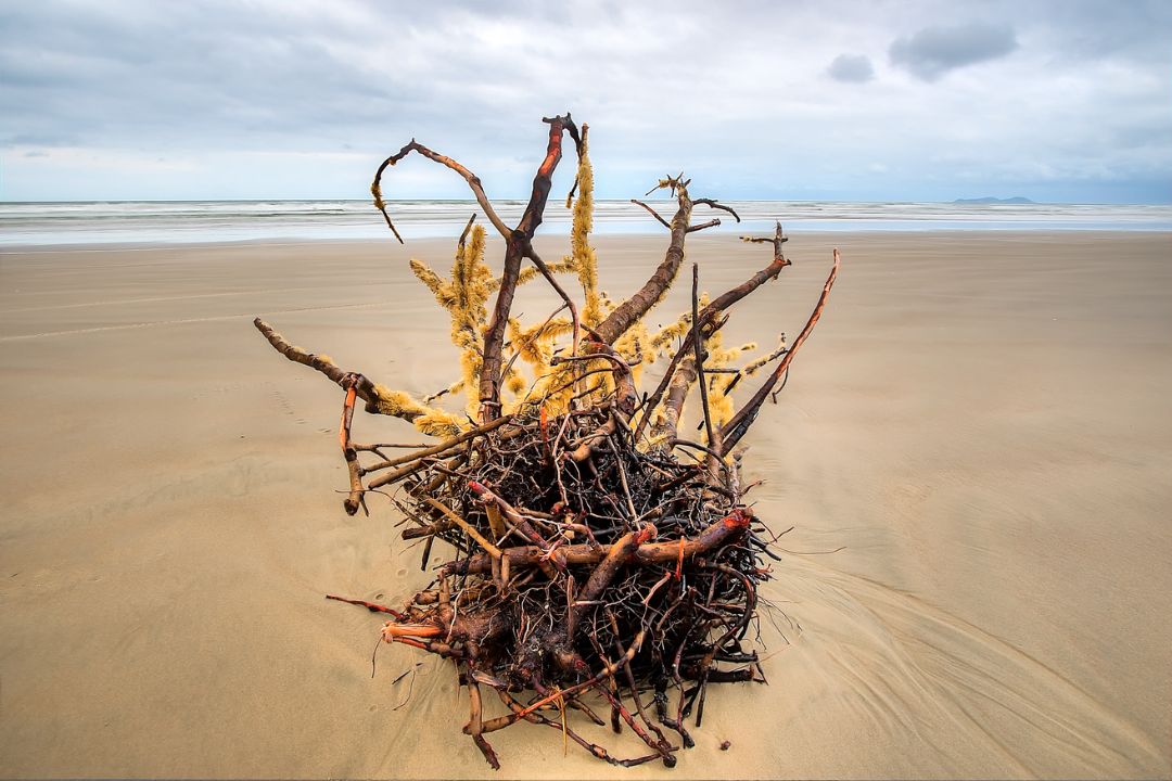 Detalhes sutis capturam essências profundas, revelando a beleza escondida em cada centímetro da paisagem - Fotografia de Paisagem