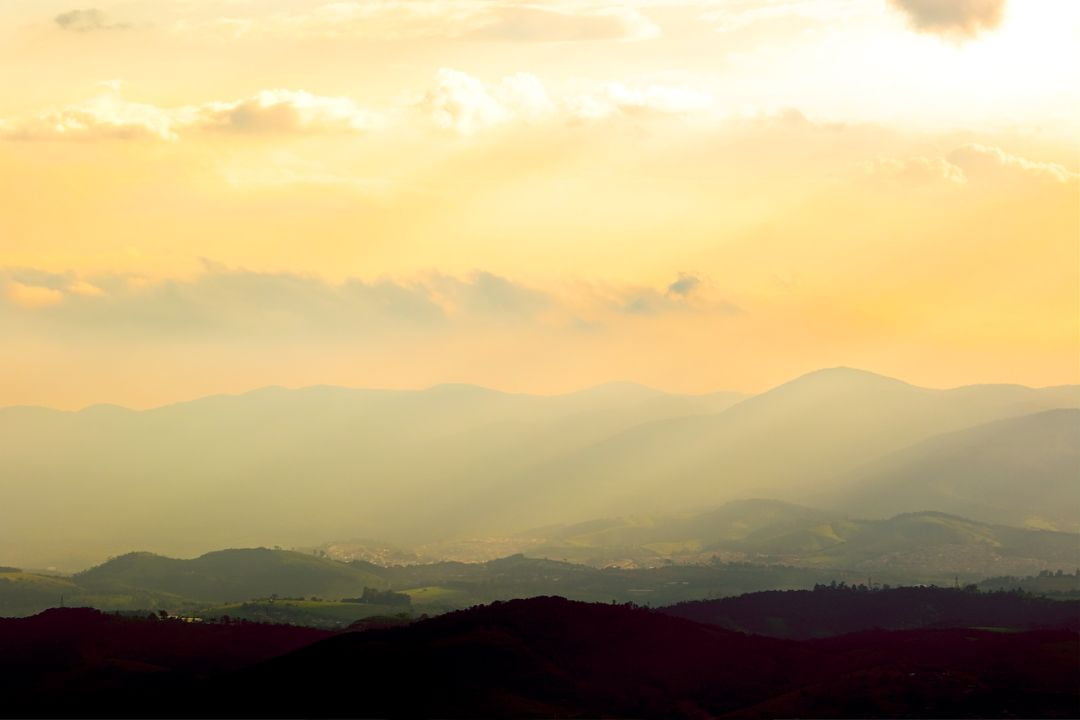 O encanto da vida na natureza é capturado em um clique, congelando instantes efêmeros que ressoam em nossas almas - Fotografia de Paisagem