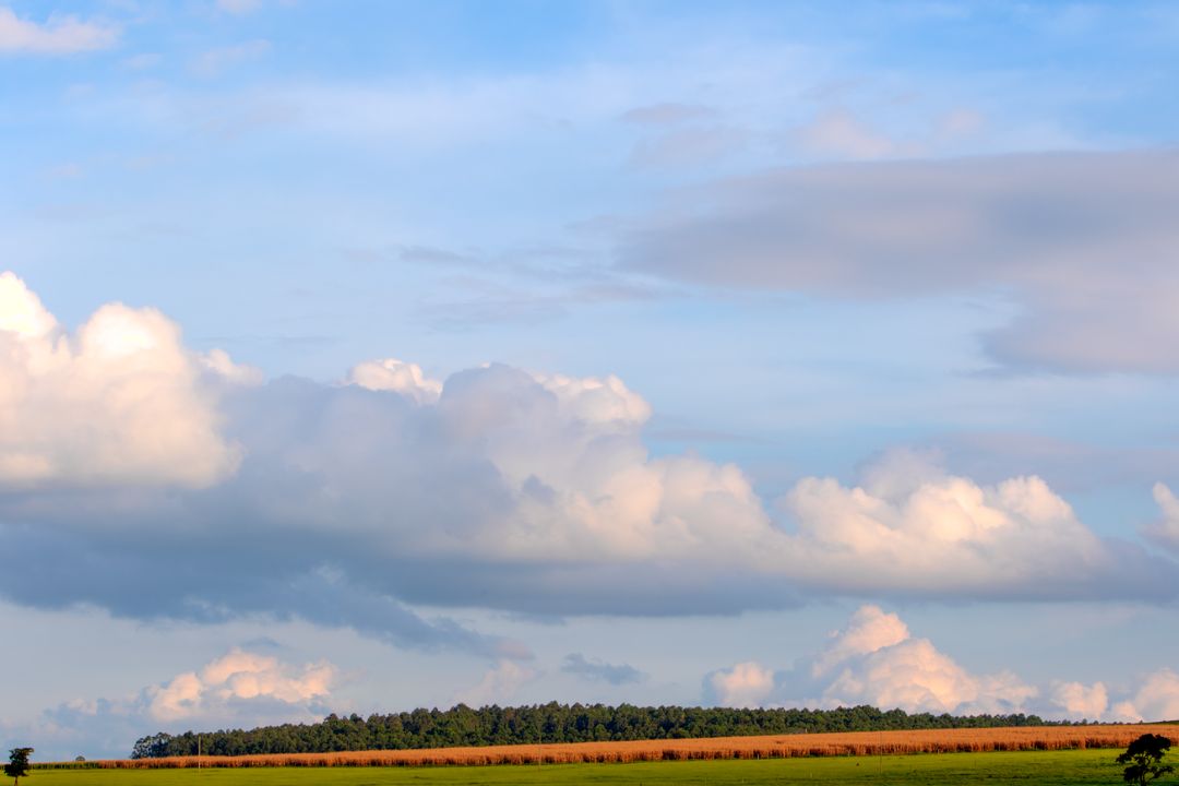 A captura de instantes eterniza histórias silenciosas, revelando a beleza que reside nos detalhes de cada cena - Fotografia de Paisagem