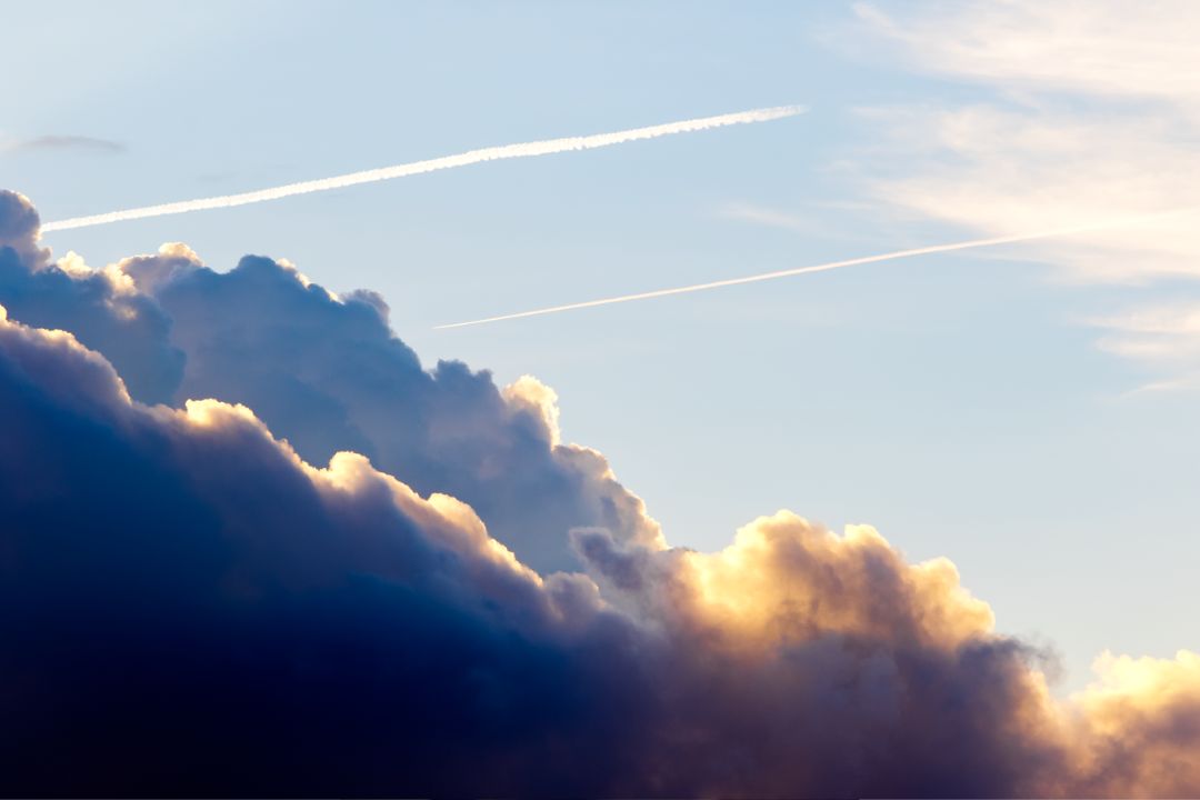 Drama de luz e sombra: a natureza viva se expressa, narrando histórias que ecoam através dos contrastes e texturas - Fotografia de Paisagem