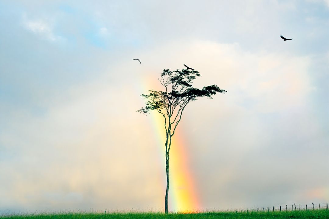 Cada detalhe importa, narrando histórias únicas em composições que se tornam janelas para mundos imaginários - Fotografia de Paisagem