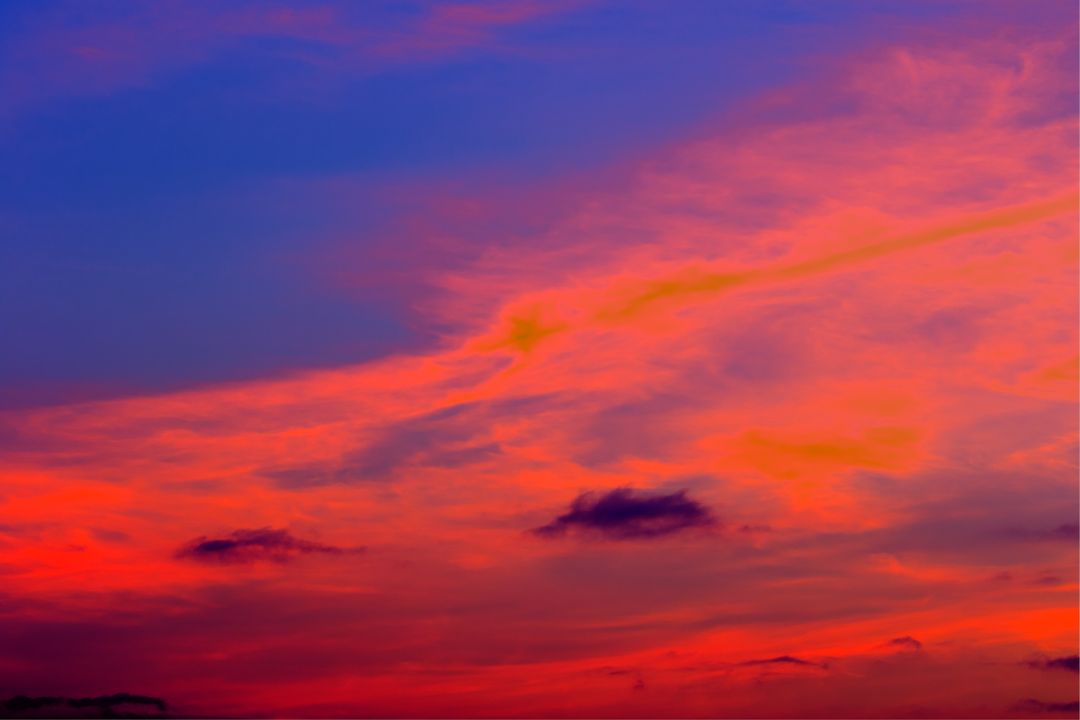 Pinceladas de luz transformando a natureza em poesia visual, revelando histórias cativantes em cada detalhe - Fotografia de Paisagem