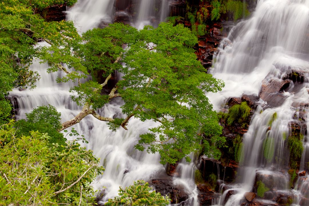 Fragmentos de terra ganham vida em imagens ricas, revelando histórias silenciosas que convidam à contemplação - Fotografia de Paisagem