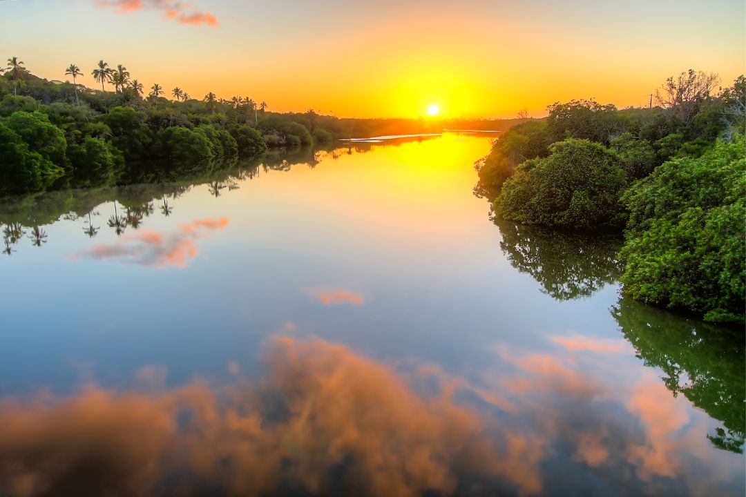Instantes fugazes se eternizam, ecoando na captura da paisagem e trazendo à vida histórias silenciosas e emocionantes - Fotografia de Paisagem
