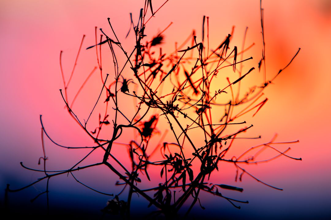 Cores, sombras e formas se entrelaçam, contando narrativas únicas que ecoam eternamente nas paisagens capturadas - Fotografia de Paisagem