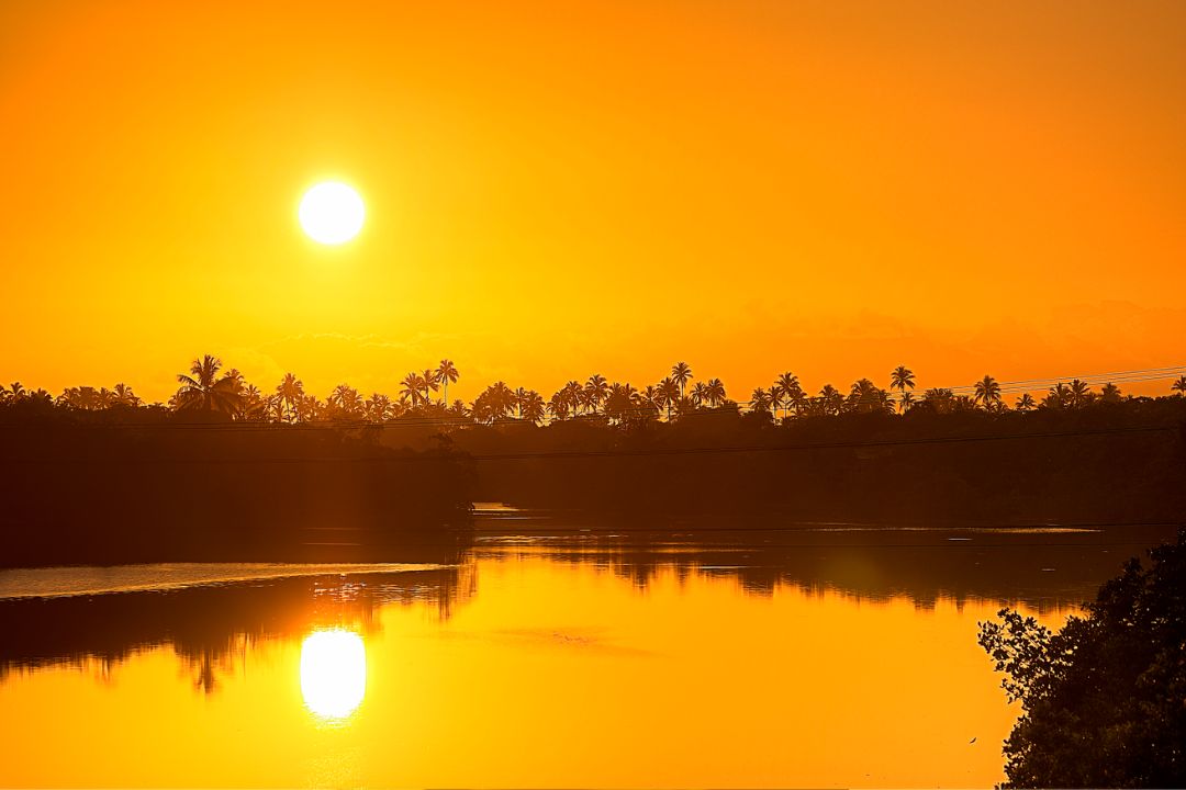 Pinceladas de luz transformando a natureza em poesia visual, revelando histórias cativantes em cada detalhe - Fotografia de Paisagem