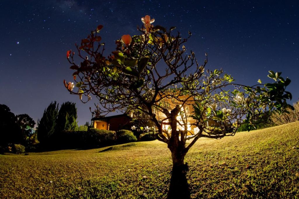 Fotografe e aprecie cada momento da sua joranada