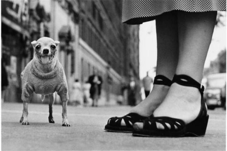 Elliott Erwitt - Street Photograpy - Fotografia de Rua